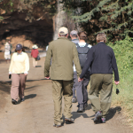 Common Walking Injuries (and How to Avoid Them)